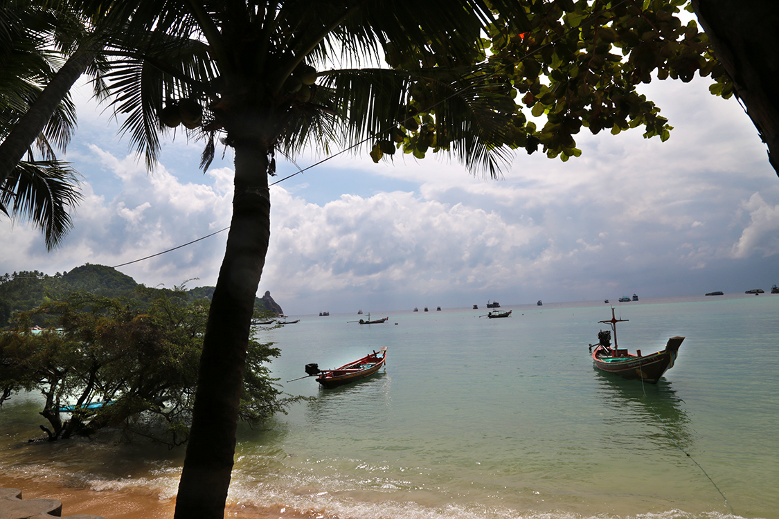 Koh Tao.
La journÃ©e repos du 1er janvier...